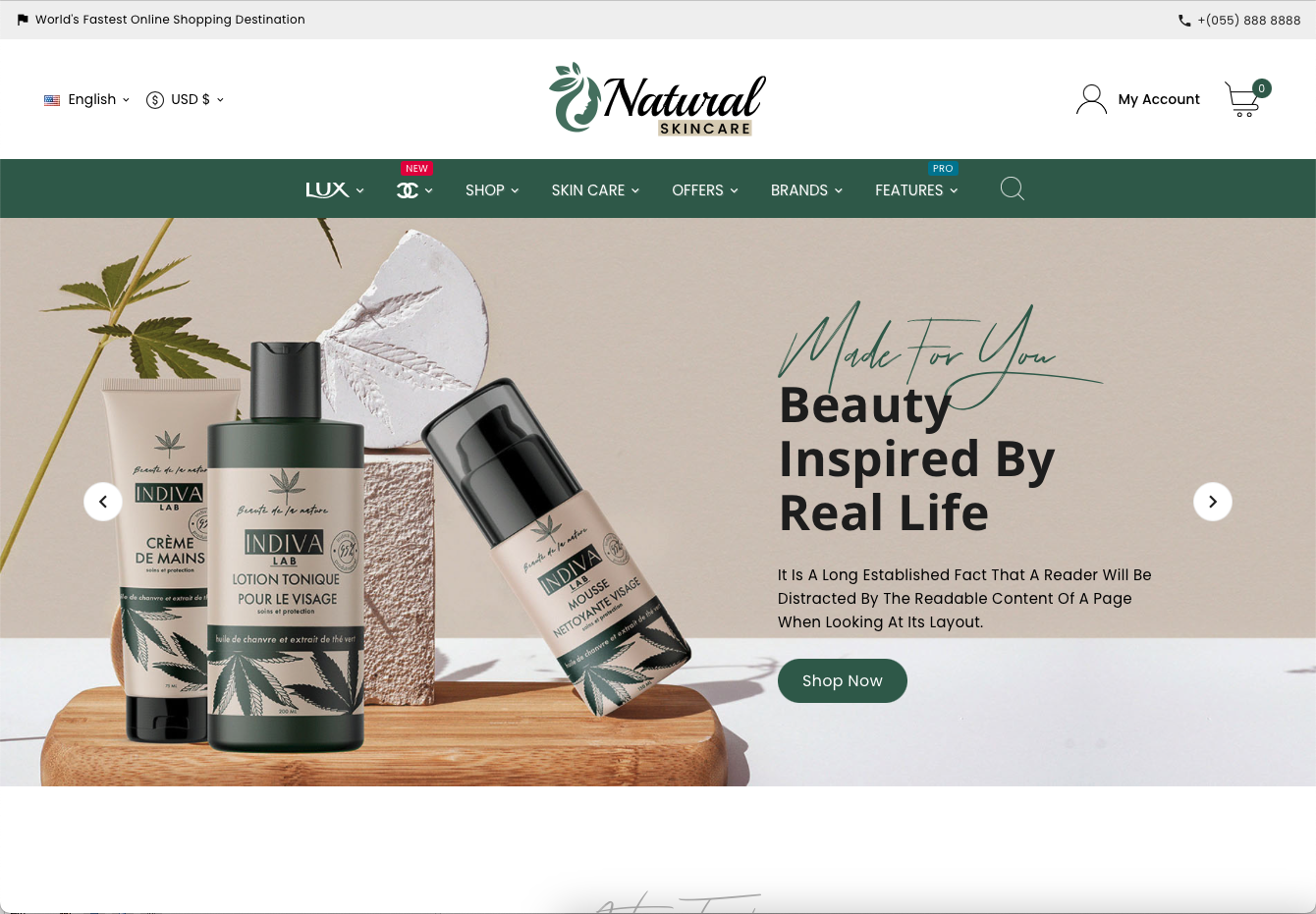 Přírodní zdraví - Bio kosmetika - Šablona obchodu Skincare Big Mart